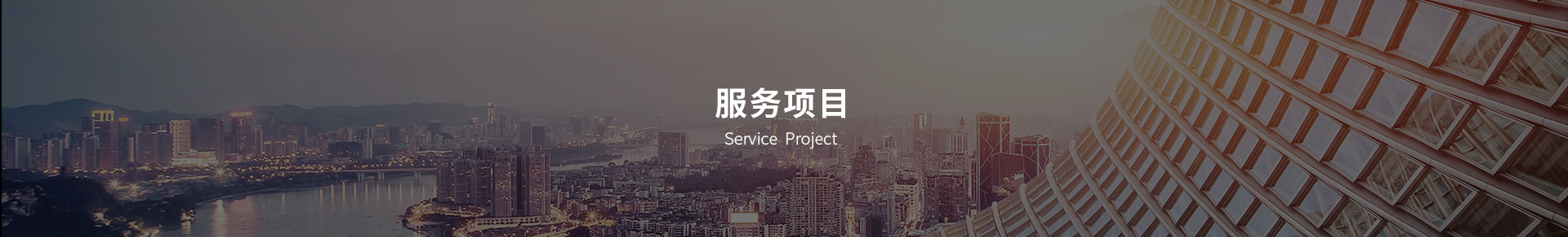 服务项目