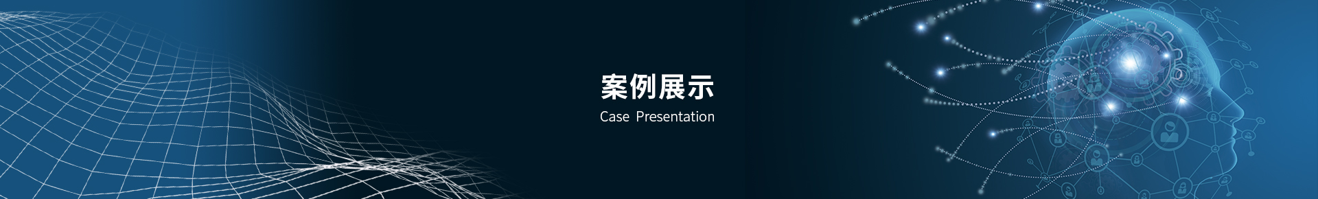 案例展示